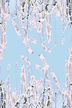 定位 梅花 桃花 花卉  写实 照片印花花型图片