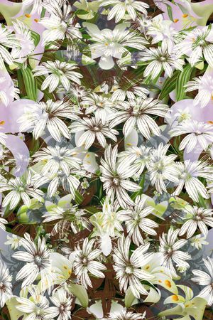 花卉 乱花 印花花型图片