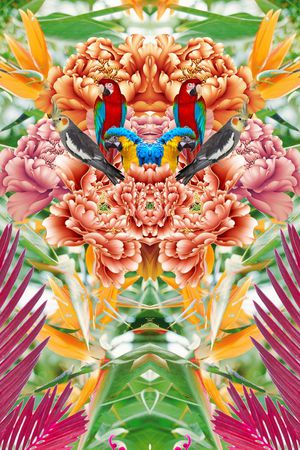 定位印花花型图片