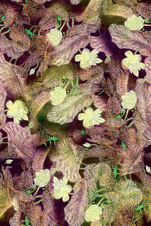 花卉印花花型图片