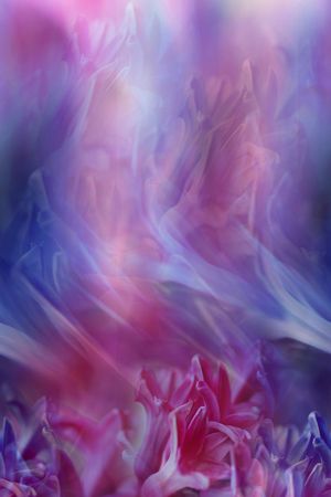 花卉印花花型图片