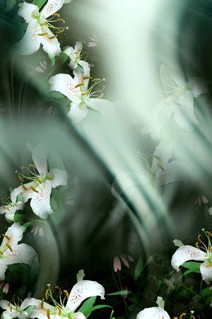 花卉印花花型图片