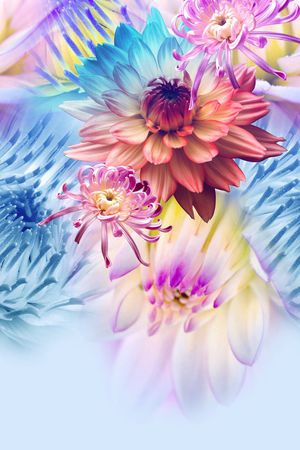定位图案印花花型图片