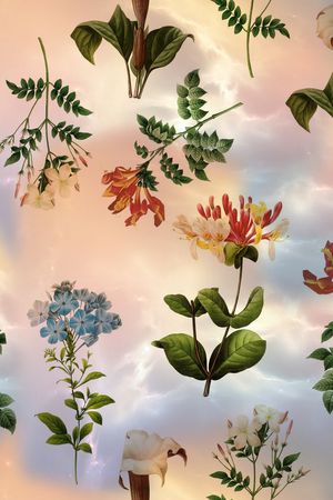 ♥红桃A〖花鸟天堂〗印花花型图片