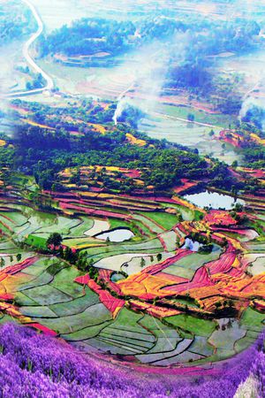 风景印花花型图片