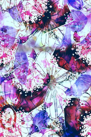 蝴蝶印花花型图片