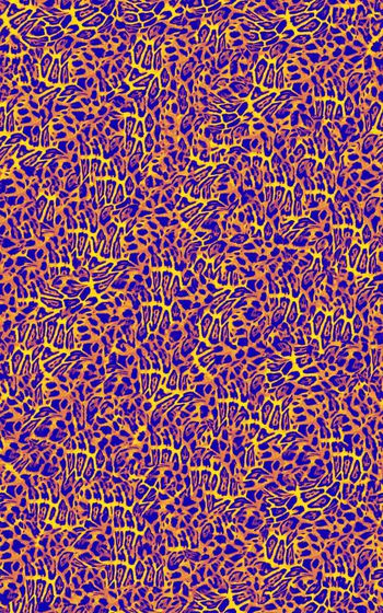 281364-猫科动物豹纹图案