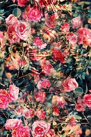 花卉印花花型图片