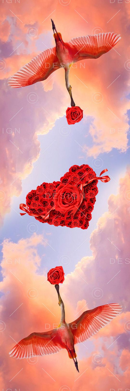 照片印花花型图片
