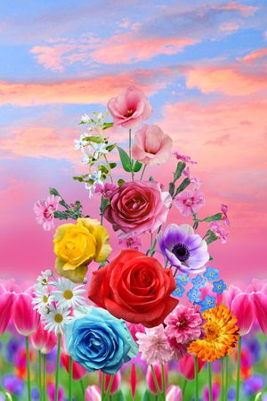 花卉印花花型图片