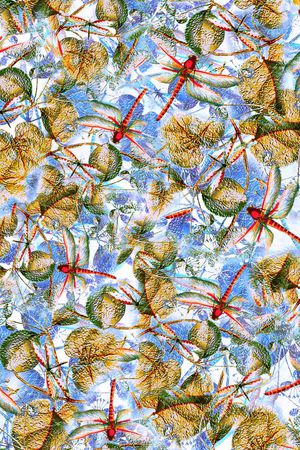 蜻蜓印花花型图片