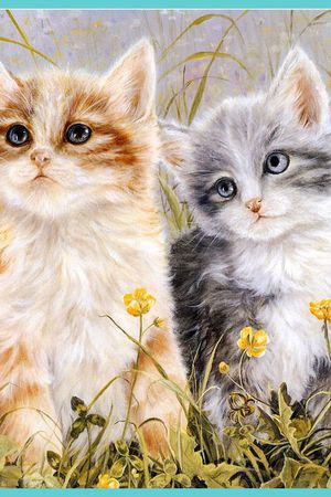 优化猫咪印花花型图片