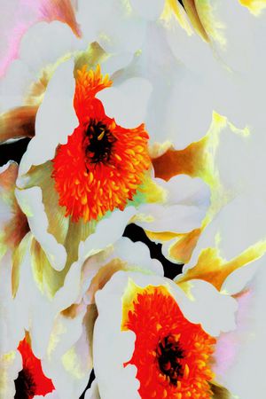 印花花型图片
