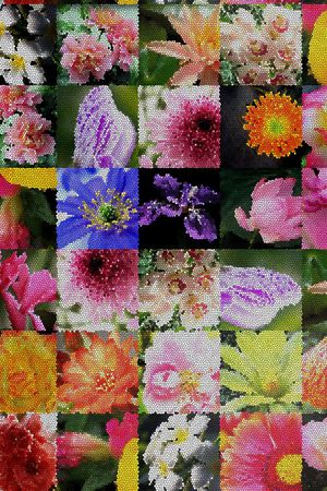 ♥红桃A〖花鸟天堂〗印花花型图片