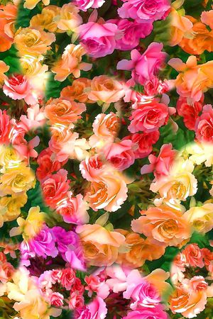 数码★花卉图案印花花型图片