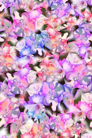 数码★花卉图案印花花型图片