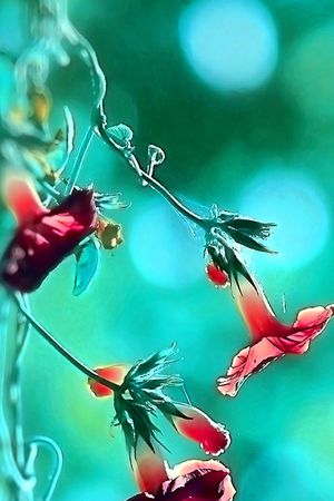 印花花型图片