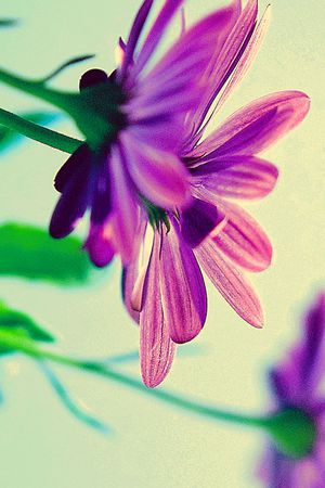 印花花型图片