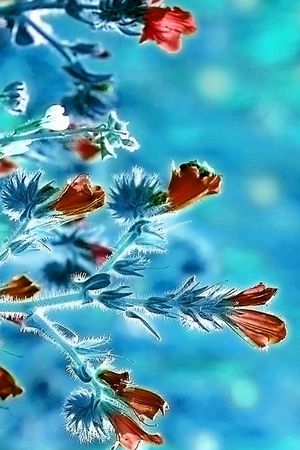 印花花型图片