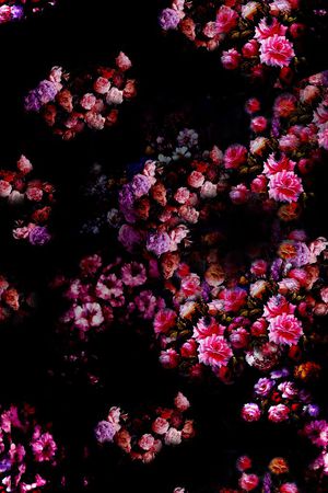 ♥红桃A〖花鸟天堂〗印花花型图片