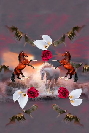 马蹄莲印花花型图片