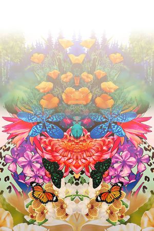 定位印花花型图片