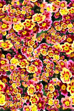 数码花型印花花型图片
