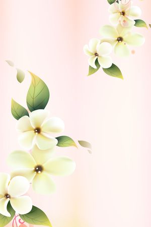长巾印花花型图片