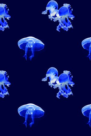 海洋生物印花花型图片