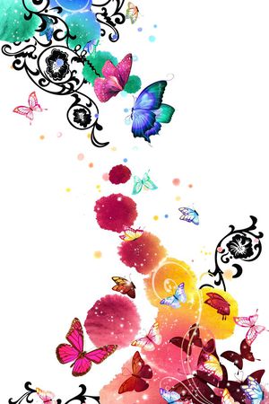 蝴蝶印花花型图片