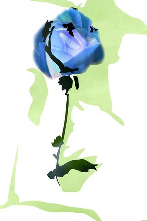 ♥红桃A〖花鸟天堂〗印花花型图片