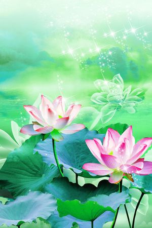 荷花印花花型图片