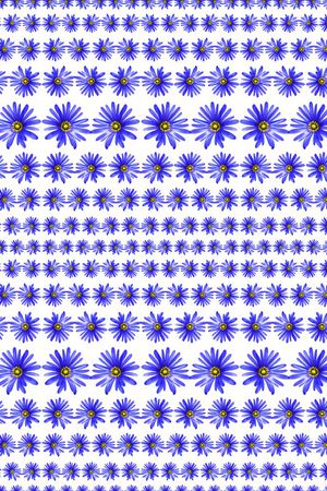 ♥红桃A〖花鸟天堂〗印花花型图片
