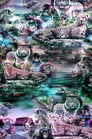 豹子印花花型图片