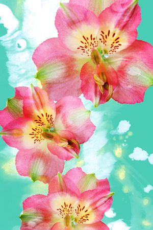 V-中国风/Chinese印花花型图片