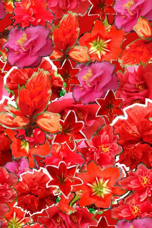 ♥红桃A〖花鸟天堂〗印花花型图片