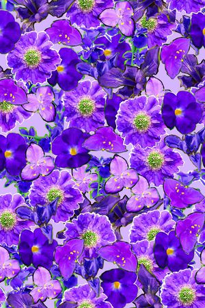 ♥红桃A〖花鸟天堂〗印花花型图片