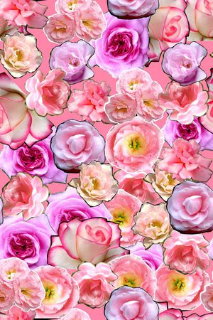 ♥红桃A〖花鸟天堂〗印花花型图片