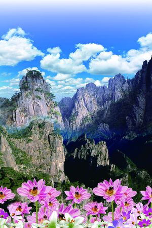 风景印花花型图片