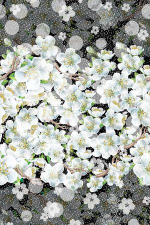 花鸟花卉印花花型图片