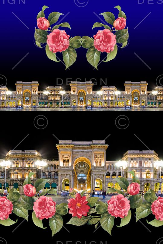 照片印花花型图片