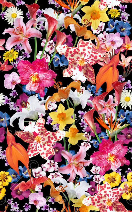 M-热带风/Tropical印花花型图片