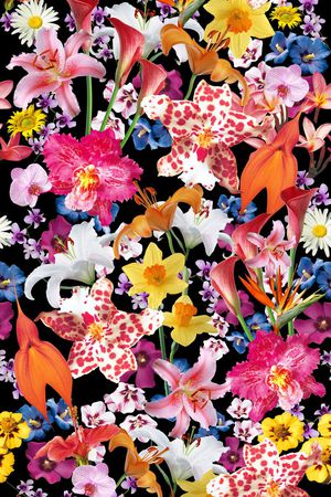 M-热带风/Tropical印花花型图片