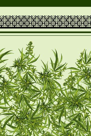 定位印花花型图片