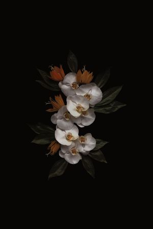 印花花型图片