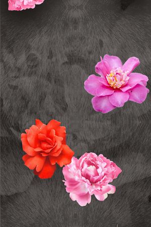 印花花型图片