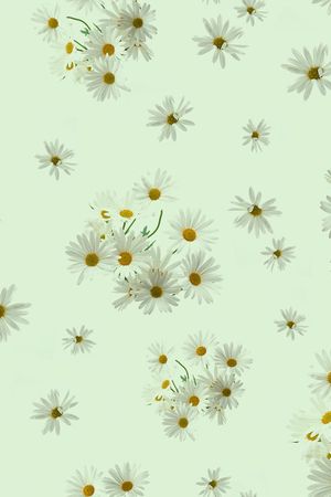 ♥红桃A〖花鸟天堂〗印花花型图片