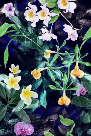 花卉组合印花花型图片