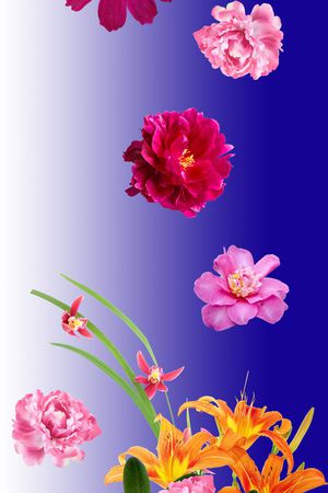 围巾花型印花花型图片