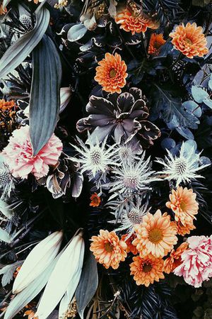 田园风印花花型图片